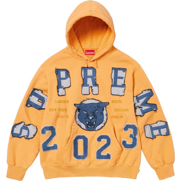 Supreme Washed Panther Hooded Sweatshirt - Dusty Gold (front)