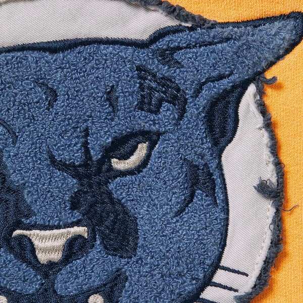 Supreme Washed Panther Hooded Sweatshirt - Dusty Gold (front)