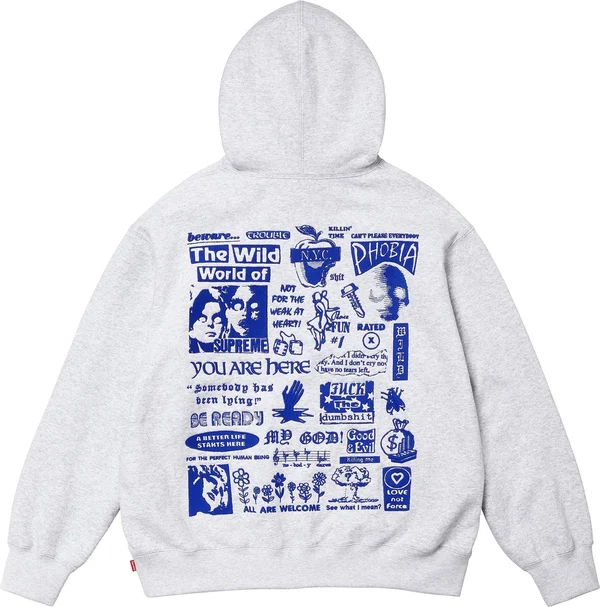 Supreme Wild Embroidered Hooded Sweatshirt - Ash Grey (front)