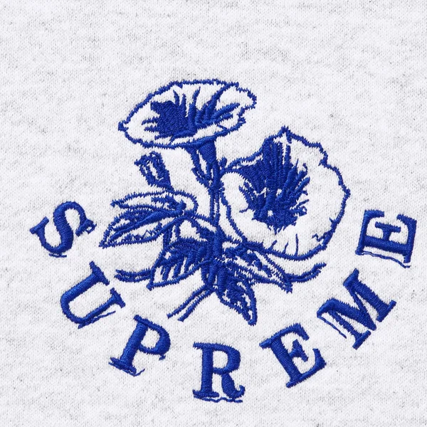 Supreme Wild Embroidered Hooded Sweatshirt - Ash Grey (front)