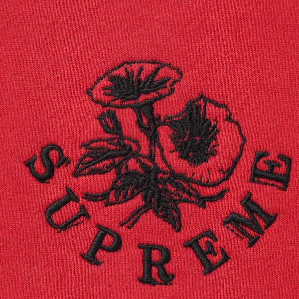 Supreme Wild Embroidered Hooded Sweatshirt - Burnt Red (front)