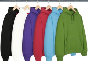 Supreme World Famous Micro Hooded Sweatshirt