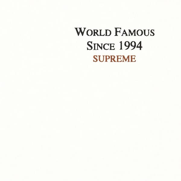 Supreme World Famous Micro Hooded Sweatshirt - White (front)