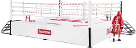 Supreme®/Everlast® 20-Foot Boxing Ring