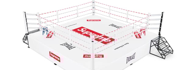 Supreme®/Everlast® 20-Foot Boxing Ring - White (detail)