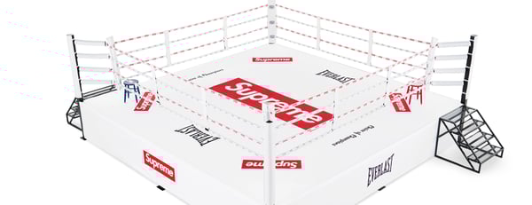 Supreme®/Everlast® 20-Foot Boxing Ring - White (detail)